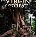 Virgin Forest 2022
