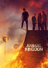 Serial Barat Animal Kingdom Season 6 END