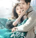 Drama China Fall in Love Again Subtitle Indonesia 2024