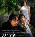 Film Semi Jepang A Spoiling Rain 2024