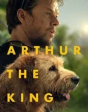 Arthur the King (2024) Sub Indo